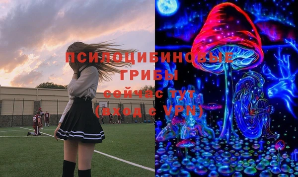 ECSTASY Зеленокумск