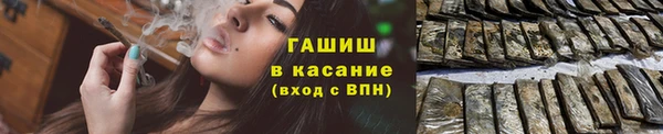 МДПВ Каменногорск