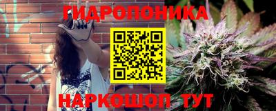 шишки Кулебаки