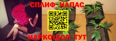 шишки Кунгур