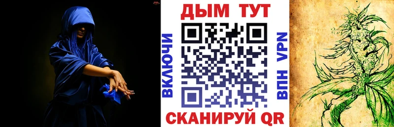 Бошки марихуана конопля  Кизилюрт 